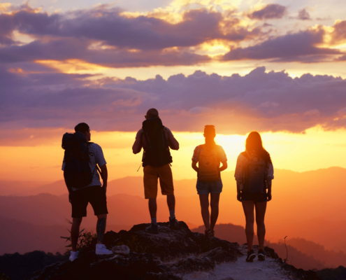 Junge Bewegung Schweiz: Ein Schicksal - Eine Jugend - Wir sind die letzte Chance für Europa. Gegen einen Ausverkauf unserer Werte, Heimat und Traditionen.